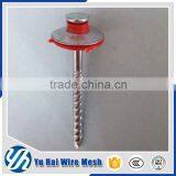 China Umbrella Head Roofing Nailsdirect From Factory Supplier's Choice thumbnail-6