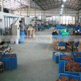 Shanghai Hamaka International Trade Co., Ltd. company overview - view 3 thumbnail