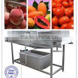 1 Ton YXJ-1 Model High Pressure Spraying Cleaner(Industrial Fruits Washer)