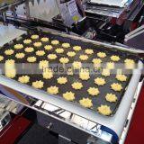 Wire Cut Cookies Depositing Machine thumbnail-3