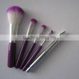 Travel 5 Piece Synthetic Hair Cosmetic Makeup Brush Set
