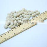 Chinese Medium White Kidney Beans Medium thumbnail-6