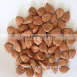 Supply With Chinese Bulk Sweet Apricot Kernels Longwang With Good Quality for Sales