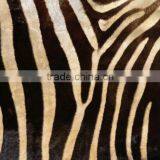 Digital Printed Glass