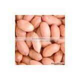 Chinese Light Peanut Kernel With Red Skin thumbnail-1