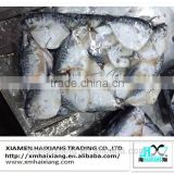 Frozen moonfish /Mene Maculata price