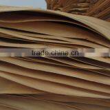 Wood Veneer for Making Plywood Moisture 18% thumbnail-2