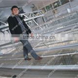 A type Poultry Cage for layer chicken farm house