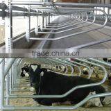 Farm Livestock Equipment for Cow Loops Cow Cubicle thumbnail-1