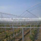 cheap price high quality LDPE greenhouse film Double Arch Double Film Single Film Greenhouse