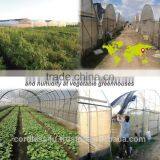 Greenhouse Automation Wireless Sensors thumbnail-3
