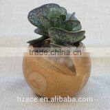 Sphere Succulent Air Plant Planter Wood thumbnail-4