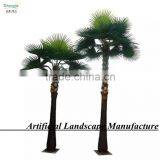 Huge Indoor Ornament Palm Trees Wholesale Fake Palm Tree thumbnail-4