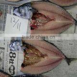 Seafood Fish Mackerel thumbnail-1