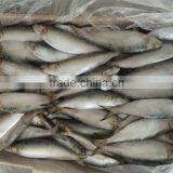 Factory Price Fish Lure Sardine of CE and ISO9001 Standard thumbnail-1