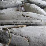 2016 Super Frozen Fish Skipjack Tuna 1.8kg up thumbnail-3