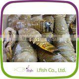 Lobster Tails thumbnail-1