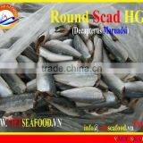 FROZEN HGT ROUND SCAD thumbnail-1