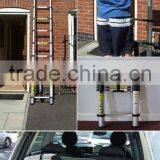 Aluminum Telescopic Ladder,aluminum Ladder,Ladder thumbnail-1