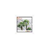 Wholesale Outdoor&Indoor Artificial Palm Trees Artificial Palm Tree Leaves and Plastic Palm Tree thumbnail-2