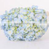 Best Price Fresh Cut Processing Type Natural Hydrangea Wholesale From Yunnan ,China thumbnail-5