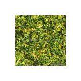 Sell Dehydrated Cabbage Granules thumbnail-1