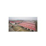 Aciya Yang company overview - view 1 thumbnail