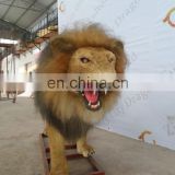 Life Size Outplaygroud Simulation Animal Lion