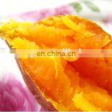 Stainless Steel Roasted Sweet Potato Machine thumbnail-5