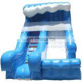 Commercial Big Water Slides for Sale , Large Inflatable Water Slide for Adult , Inflatable Slides thumbnail-1