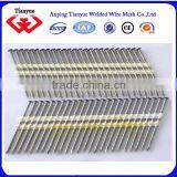 Hot Sell Common Iron Nails(15 Years Factory) thumbnail-1