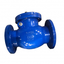DIN BS Flanged End Metal Seat Check Valve Pn16 2-24 Inch Stop Valve for Water Oil Gas Appliance thumbnail-3