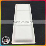 Rectangle Disposable Bagasse Sugarcane Plate