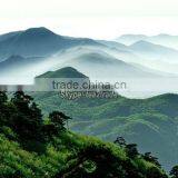 Health Food Wholesale Diet Loose Keep Fit Slimming Detox Tea thumbnail-6