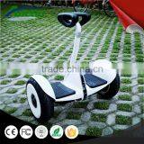 2 Wheel Adult Electric Scooter