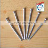 Polished Iron Nails ,Steel Common Nails For Furniture Anping Nail Price