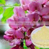 Active Ingredient Rutin 98% Sophora Japonica thumbnail-1
