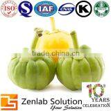 Garcinia Cambogia in Powder 65% Garcinia Cambogia Fruit Extract Powder thumbnail-1