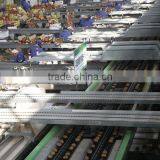 Fresh Green Kiwi thumbnail-1