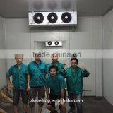 +15 to +8 C Cold Storage Room thumbnail-5