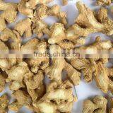 ORGANIC FRESH GINGER CALL ME: 0084 977132019 thumbnail-5