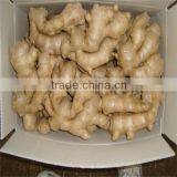 Fresh/Dried Ginger thumbnail-6