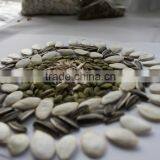 Popular Products Chinese Sunflower Seeds 5009 Long Shape thumbnail-3