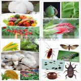 longways bed bug pesticide cypermethrin 95%TC control of agricultural pests