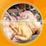 2016 Commercial Chicken Hair Removal Machine/poultry Feather Plucker Machine With One Year Guarantee thumbnail-6