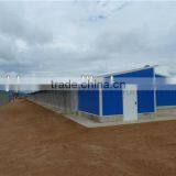 Broiler Poultry Farm House Design thumbnail-1