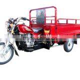 250cc 3 Wheel Tricycle for 2 Adults and Sale thumbnail-1