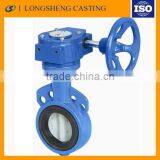 Cast Iron Flanged Ends Lift Check Valve/cast Iron Wafer Butterfly Valve thumbnail-5