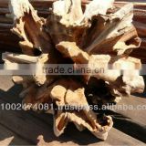 Real driftwood for decoration