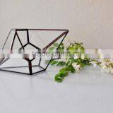 Geometric Shape Glass Terrarium Plant Holder thumbnail-4